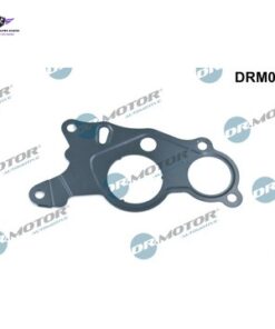 Dr motor Tandem pump seal Amarok